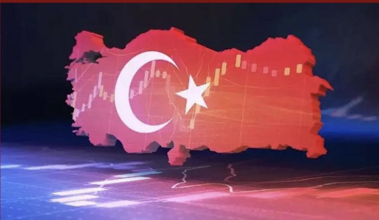 تركيا تضخ 12 مليار دولار لدعم الليرة 